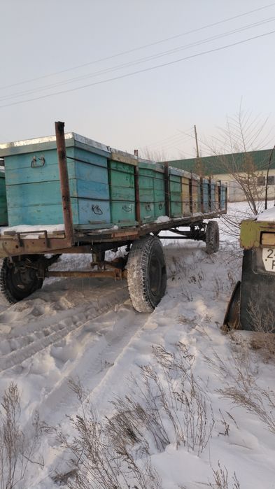 Кашар 800г жер. Прицеп для пчел. Улья
