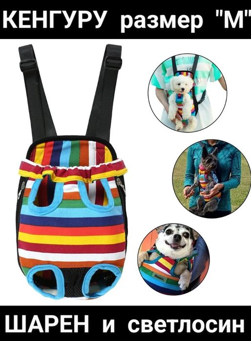 Кенгуру за малък любимец