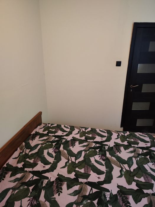 Стая под наем,самостоятелна стая