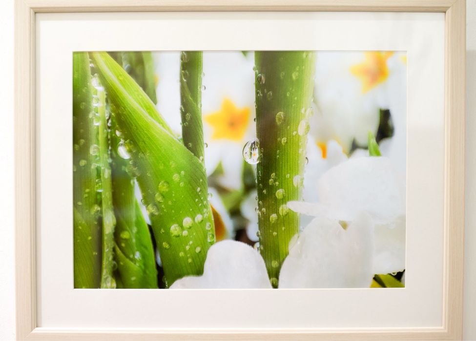 Професионално заснети картини в рамка - идеални за дома и офиса