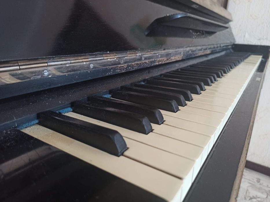 Фортепиано Ростов-Дон
