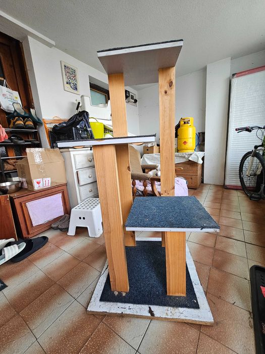 Котешка катерушка