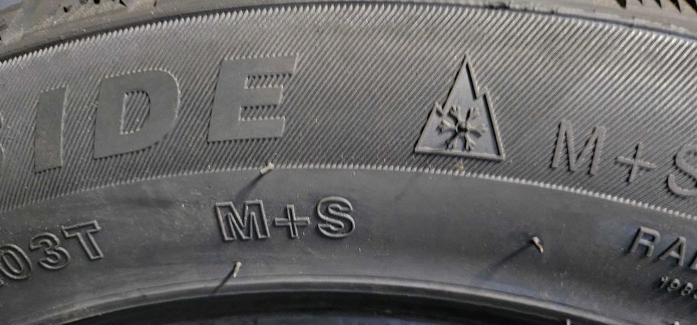 255/50 R19, 103T, SUNNY NW312, Anvelope de iarna M+S