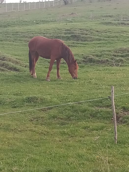 De vanzare nu sunați inutil