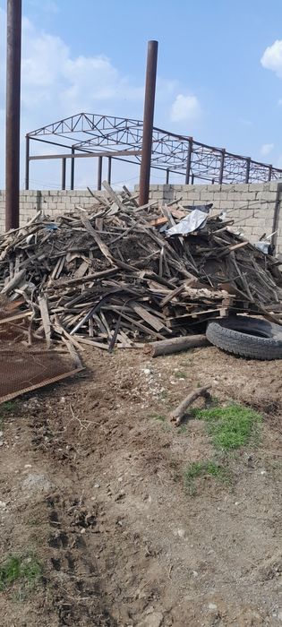 Дрова самовывоз. Кайтпас 1. Чимкент