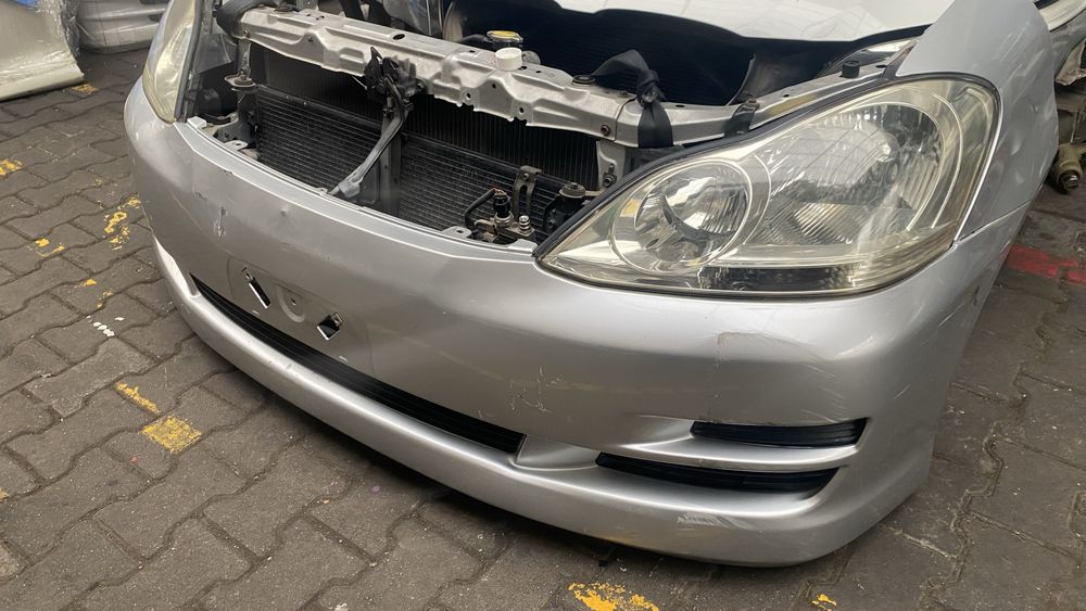 Ноускат Ипсум рестайлинг