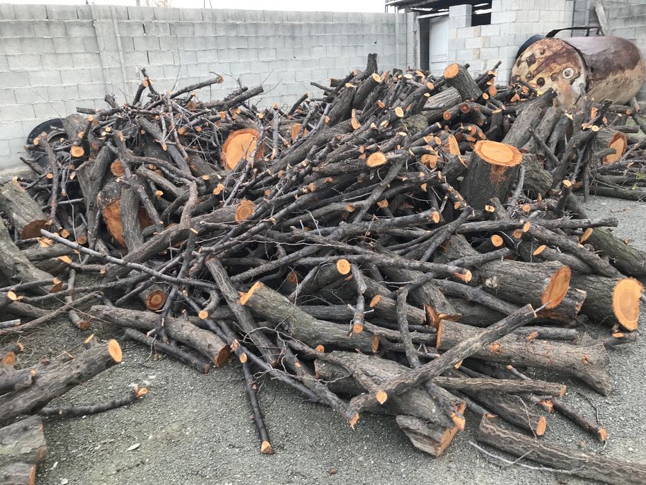 Otin sotiladi bir mawina 53 da chiqadi manzil:andijon tumani xrabekdan