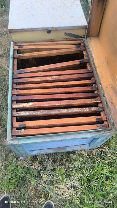 Улики Пасика Инвентарь