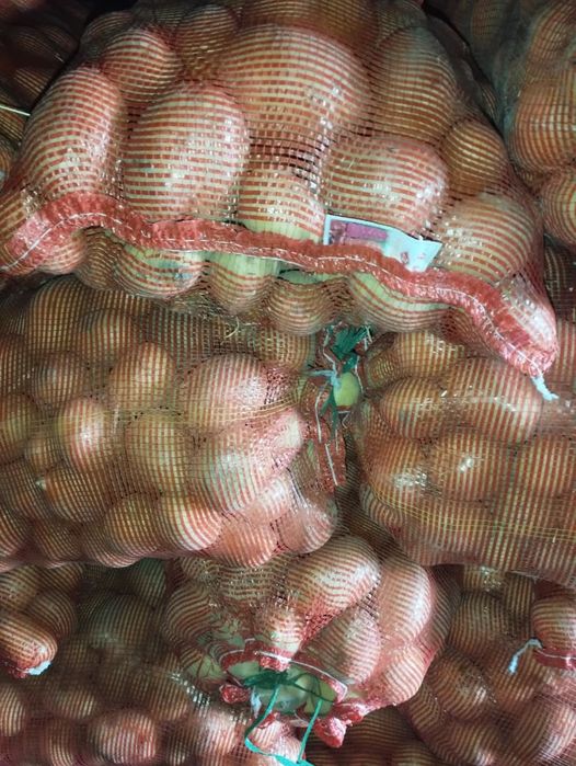 Продам домашний картофель