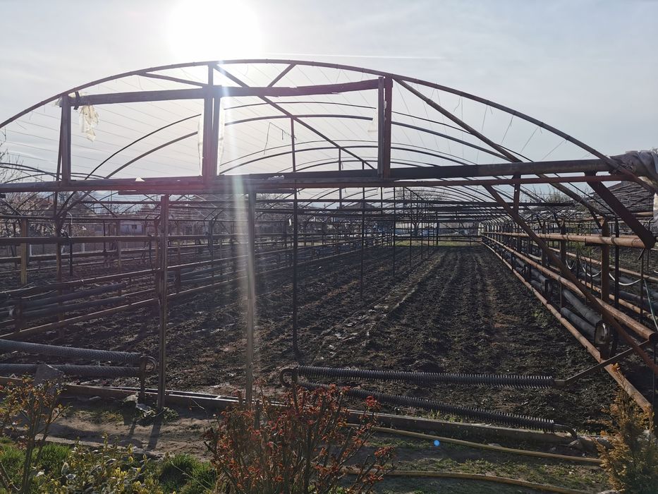 Оранжерии с парно 900кв.м.