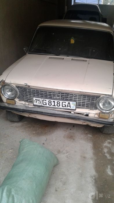 Vaz juguli 11 denov