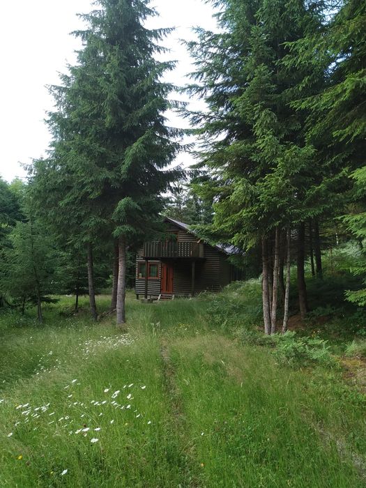 Teren și cabana de vanzare in Muntii Apuseni.