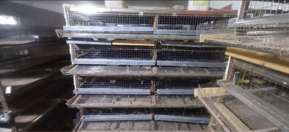 Продаеться сетка для содержания перепелки