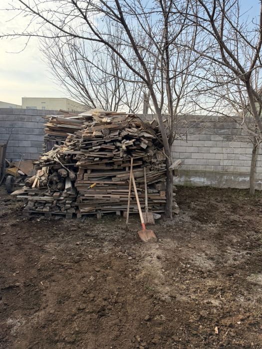 Ағаш. Дерево. Отын жақсы