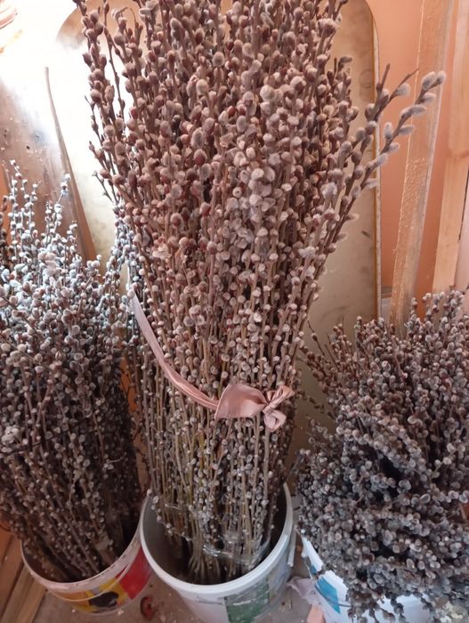 В продаже есть верба