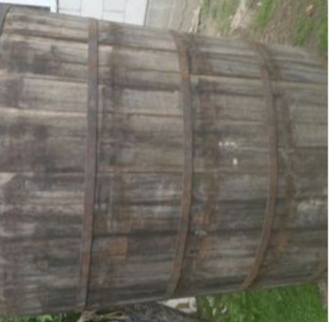 Budane (zăcători), li se mai zice butii