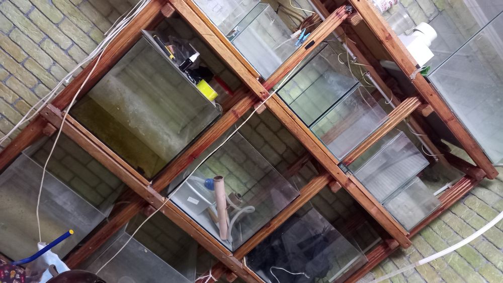 Продам Аквариумную Ферму