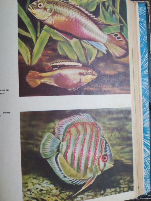 Книга "Увлекательный аквариум"