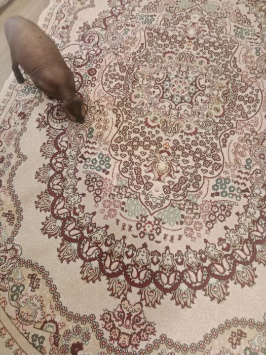 Продам ковер хлопок