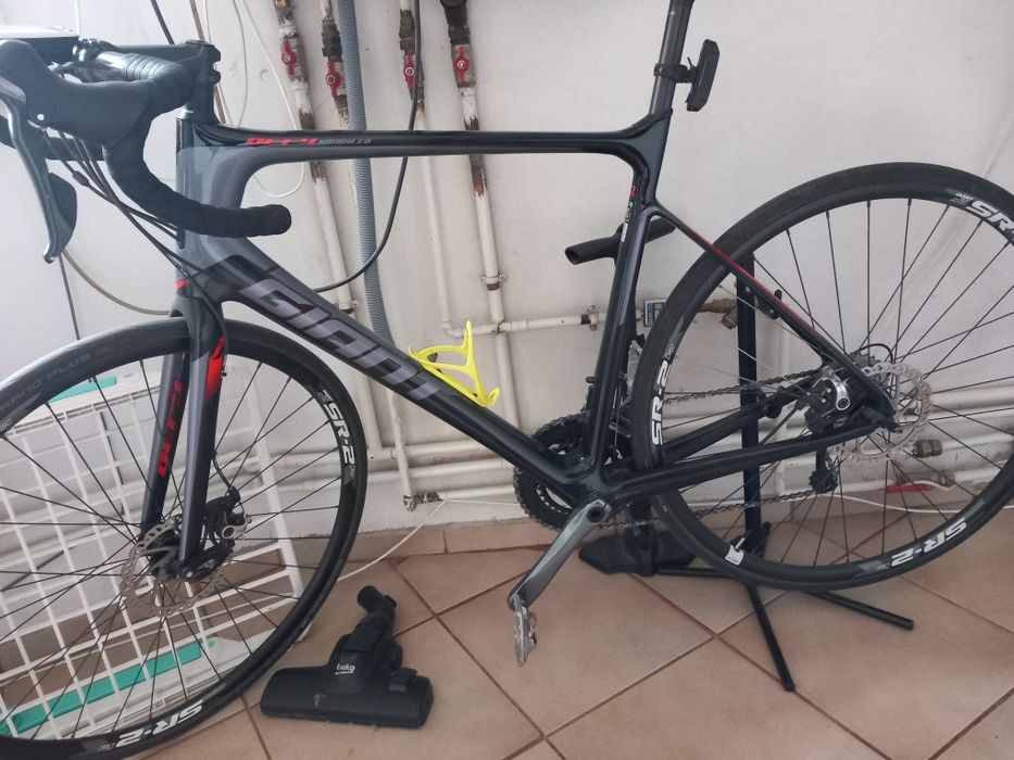 Cursiera giant carbon