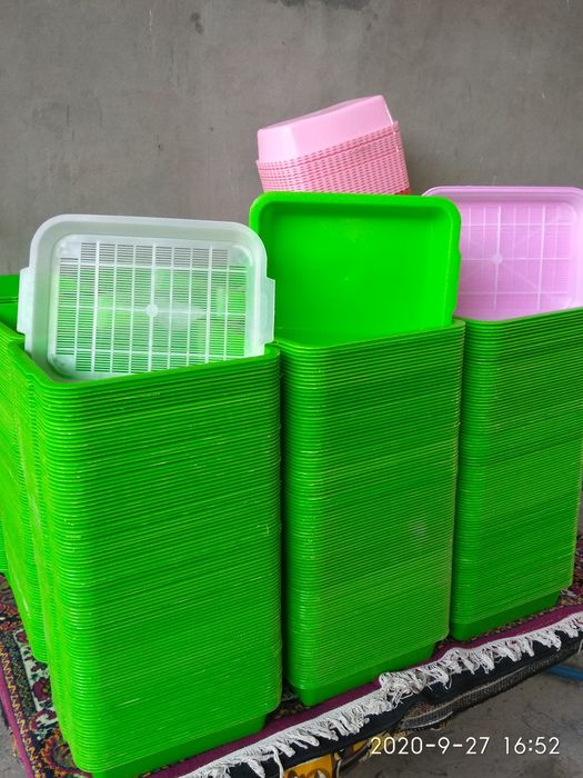 Кролик,( Куен )  маточни латок.