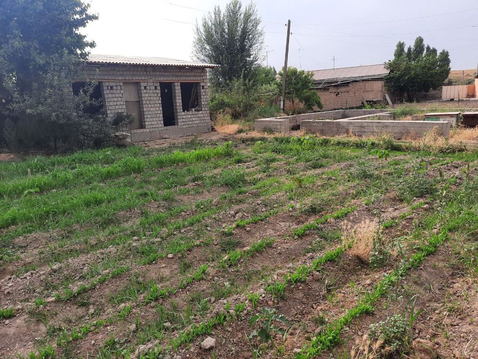 Yashash maydoni 8 sotik