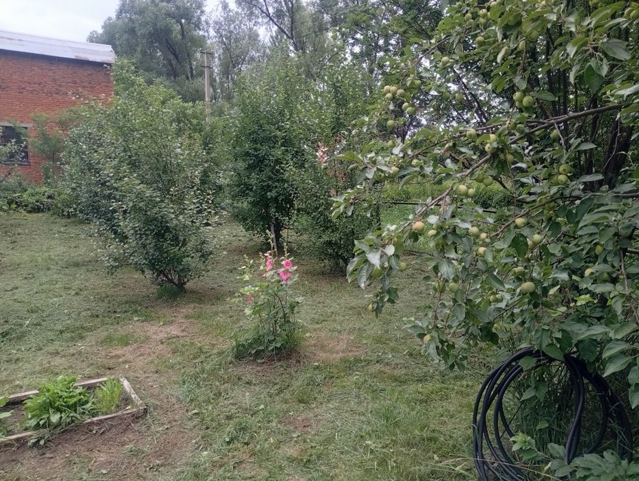 Дача с пасекой (за Тарханкой)