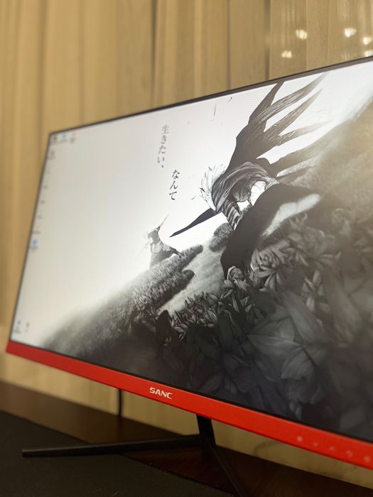 Монитор Sanc 165hz