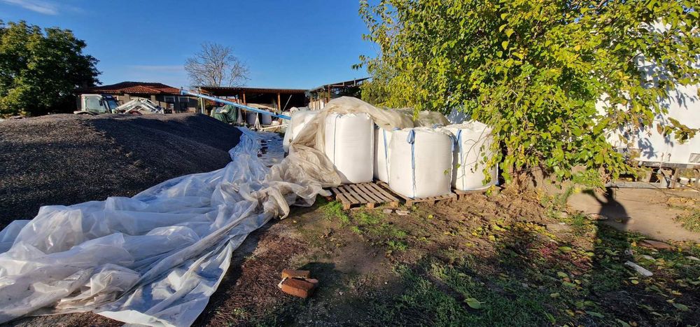 Пшеница реколта 2025 година