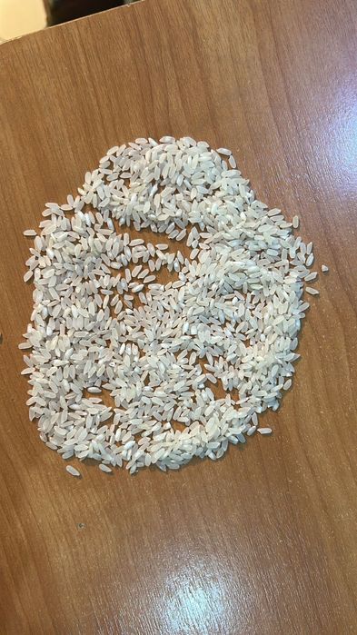 Рис универсальный сорта аланга