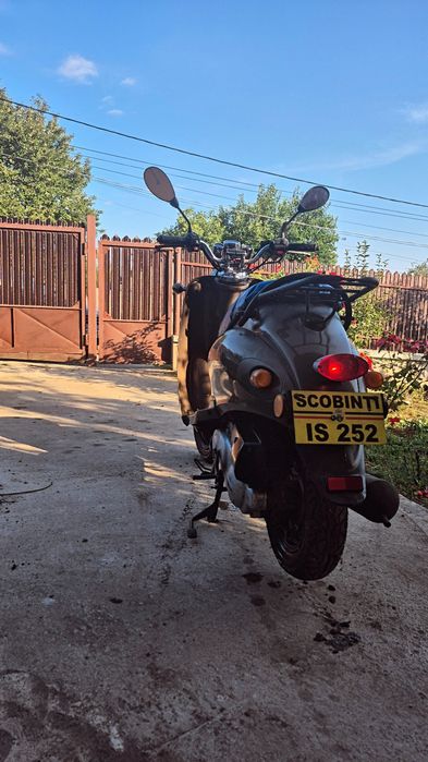 1.500 de leii în stare perfectă de funcționare,49 cm