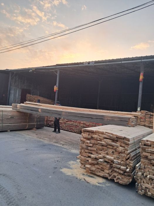 Дерево сосны продаю