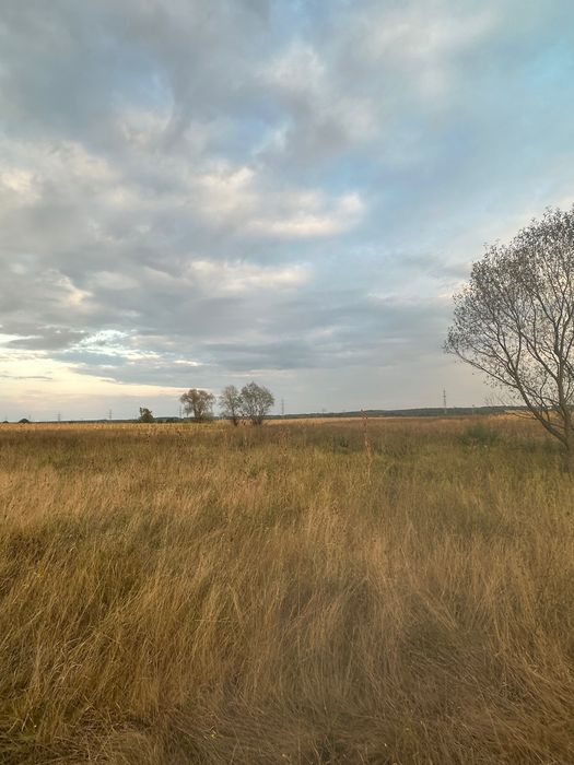 teren de vanzare comuna Danesti satul Bucureasa, Gorj 38.468 mp