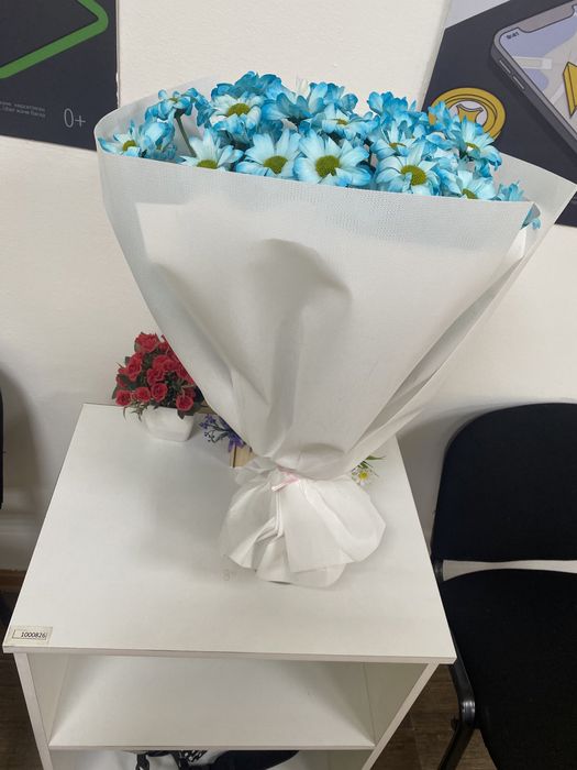 Продам цветы хризантемы