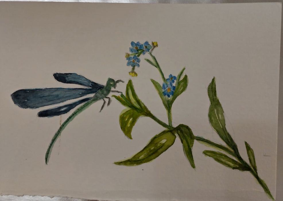 Ilustrații pictate in acuarelă