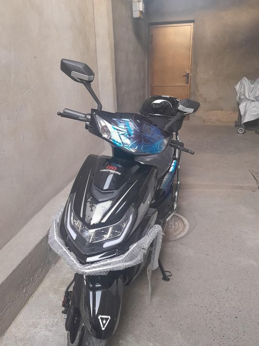 SUKUTIR TOKLI 700$ yengi