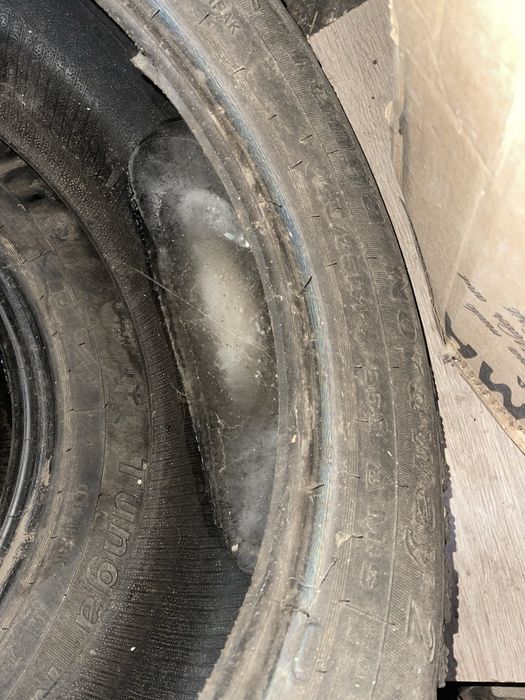 Продам 2 болона зимы на 14