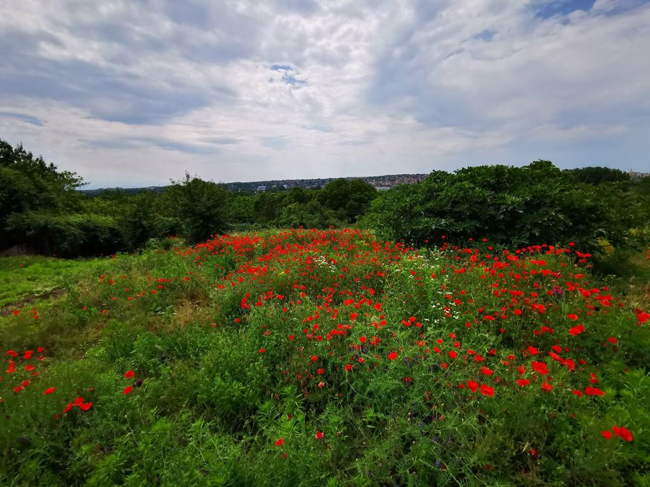 Продава се Къща в Лом - 100 кв.м за 102 €/кв.м - Снимка #5