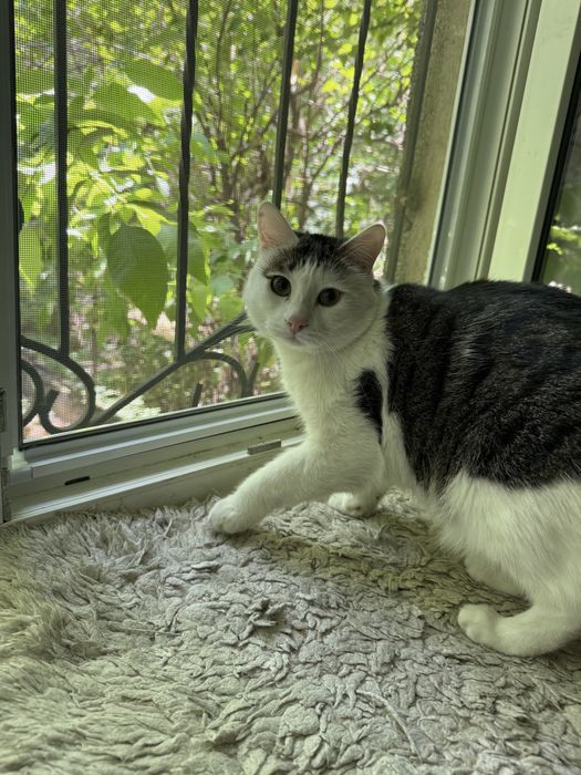 Ремонт окон и дверей