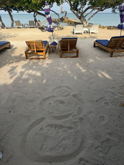 Vând  o  pereche  schiuri  adulți