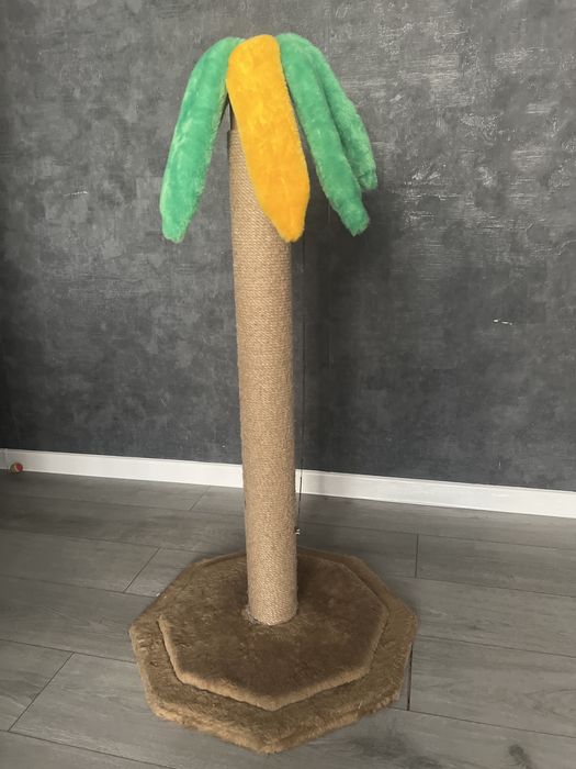 Мейн кун мальчик с документами