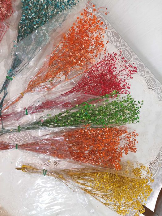 Сухоцветы гипсофила