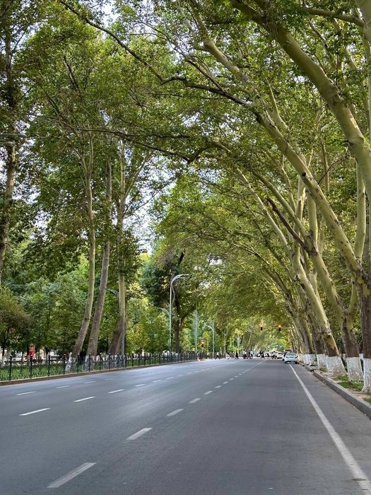 Золотой Самарканд — столица Тамерлана, знакомимся за 1 насыщенный день