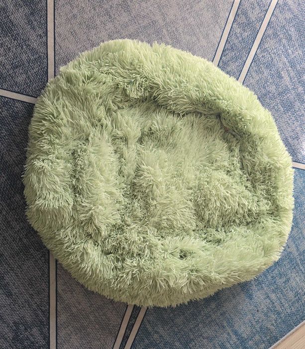 Pat culcus caini, pisici