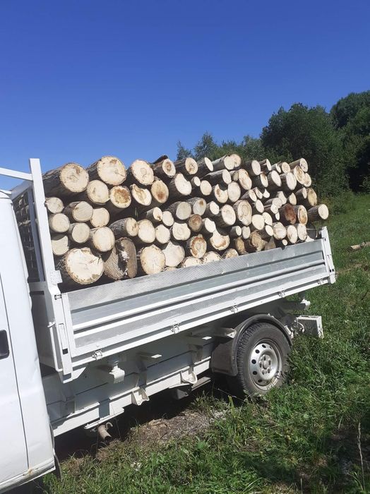 Lemne de foc la 250 lei metru