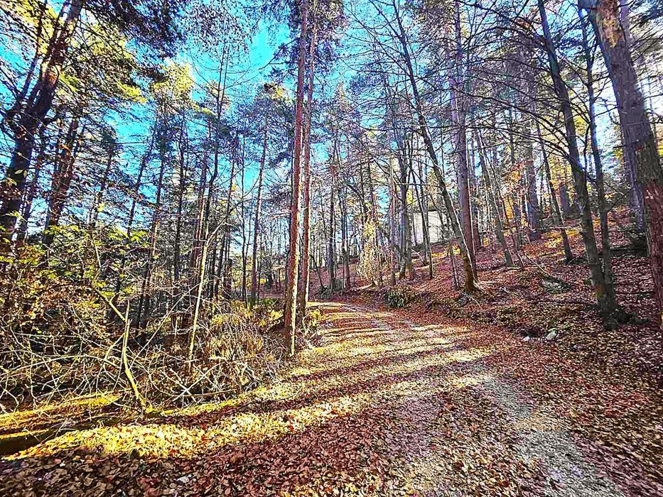 Земеделска земя 1 757 кв.м до последните къщи на Бойково – местност Ф