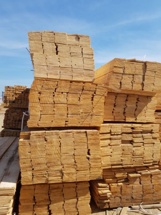 Cherestea molid si brad