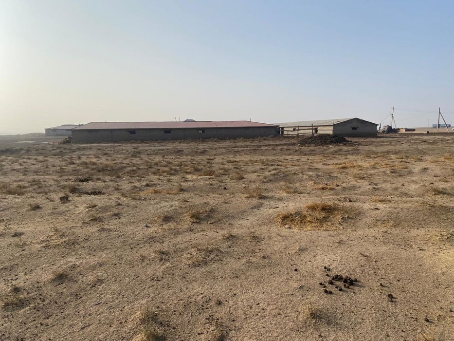 Фазенда, Качара, Қора. Вдоль трассы