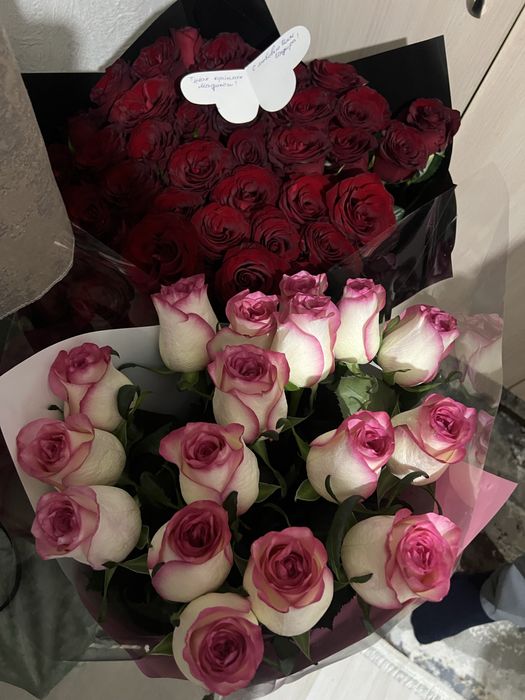 Продам цветы от 5000 до 8000