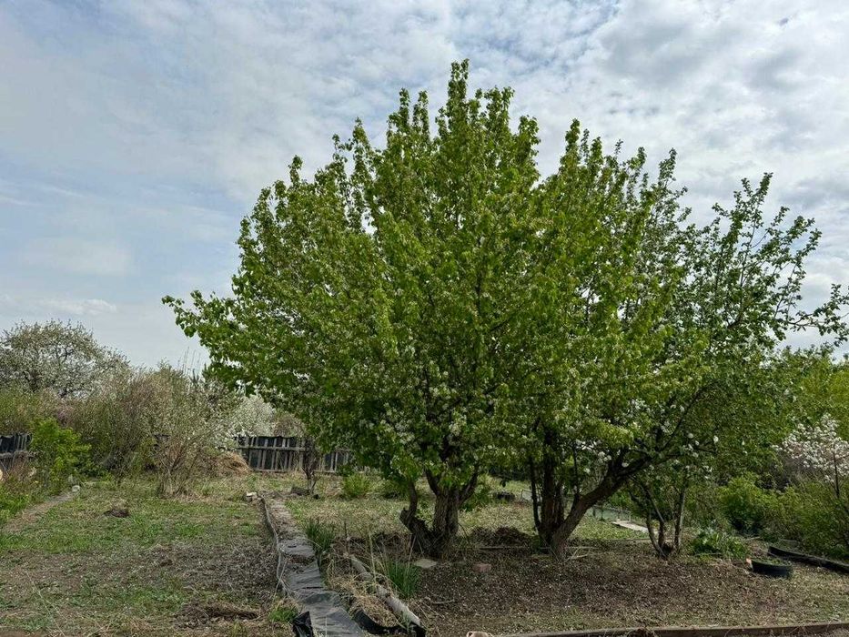 Продам Дачу. Сад Металлург